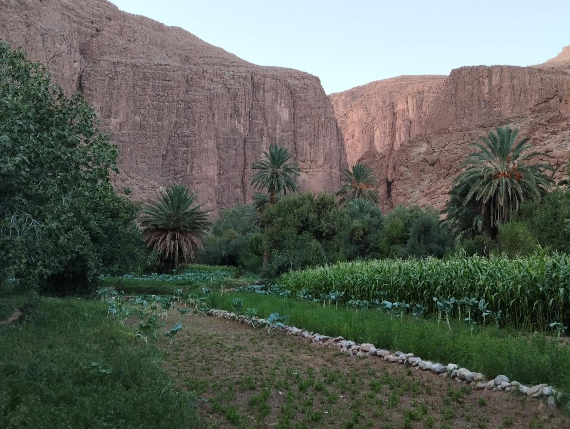 Riad La Fleur Ait Baha ภายนอก รูปภาพ